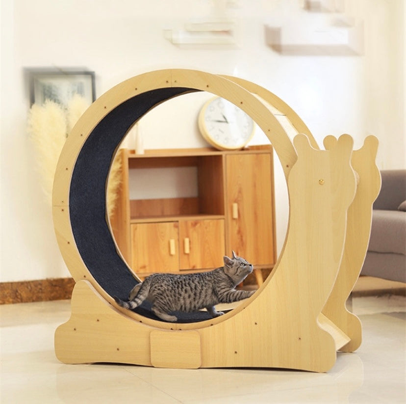 Roue d’Exercice Silencieuse pour Chat