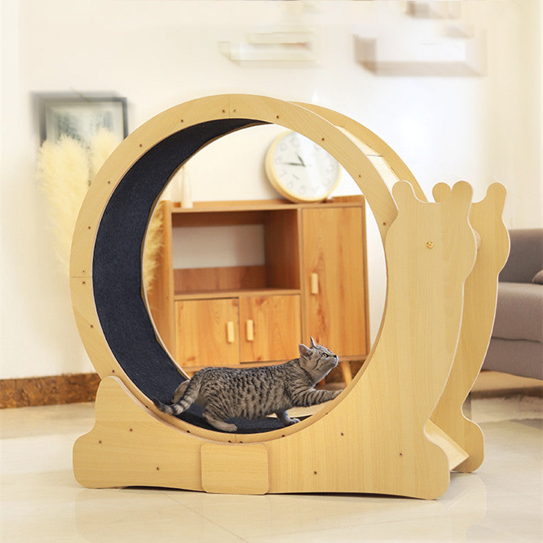 Roue d’Exercice Silencieuse pour Chat