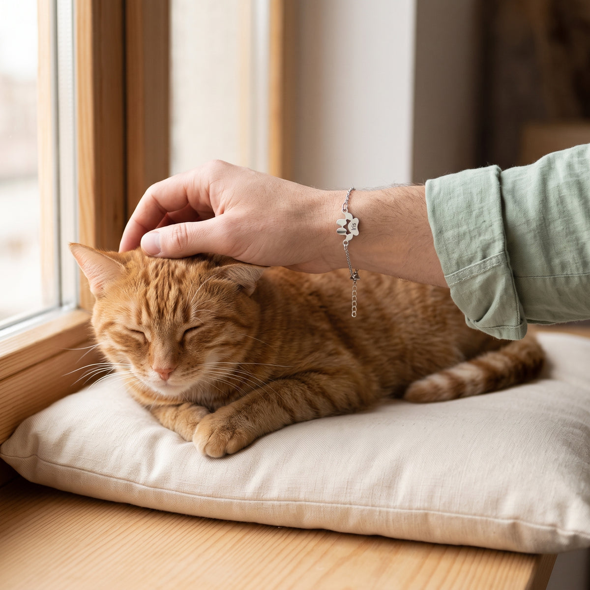 Main portant un bracelet patte en argent qui caresse un chat roux
